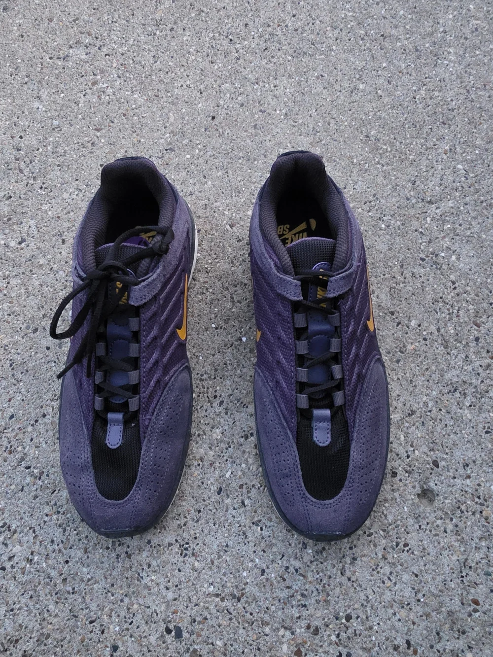 Nike Vertebrae SB 'Dark Raisin Sneaker Youth Boys 6.5